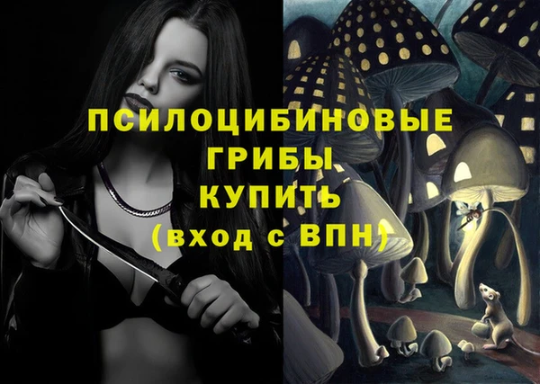 прущая мука Магас