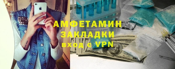молекула духа Майский