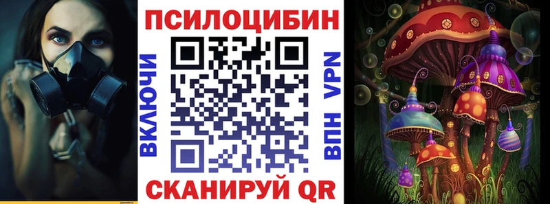 Псилоцибиновые грибы MAGIC MUSHROOMS  дарнет шоп  Пойковский 